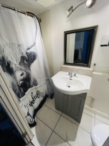 Bathroom Renovation in Kitchener