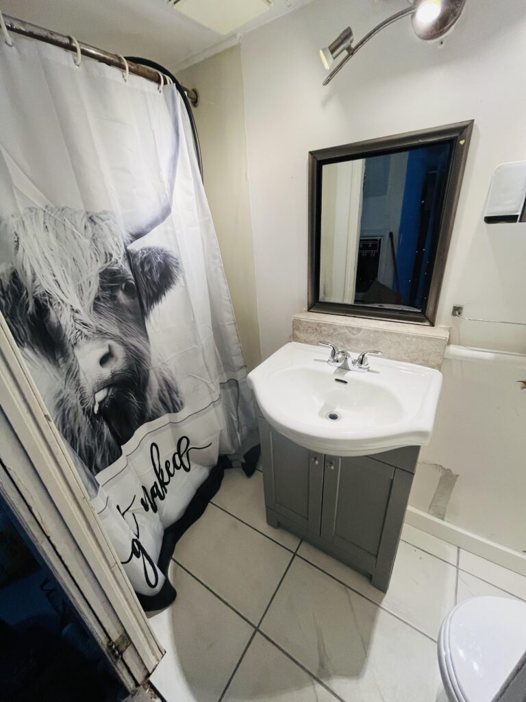Bathroom Renovation in Kitchener